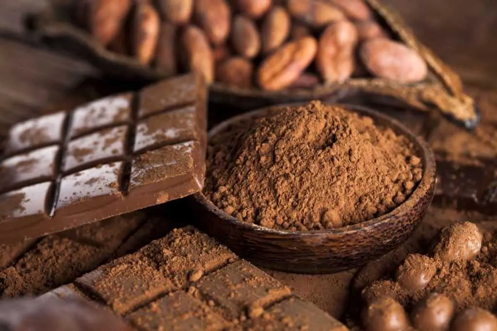 chocolate_492332134_bfbb78b0_58fb9a5e7b.jpg