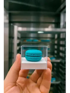 WhatsApp Image 2025-09-15 at 8.39.10 AM.jpeg